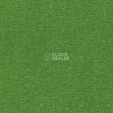 Ковролин Radici Nexus Radura 8224 фото 1 | FLOORDEALER